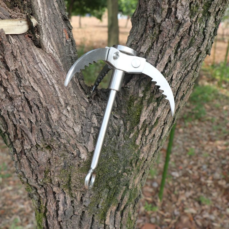 Field climbing carabiner - Image 3